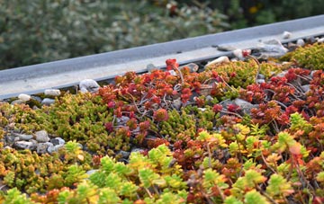 the cost of Lower Croan green roof installation