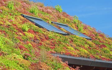 Lower Croan living roof systems